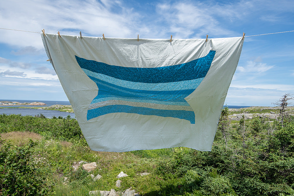 Reflection Harbour Fogo Island